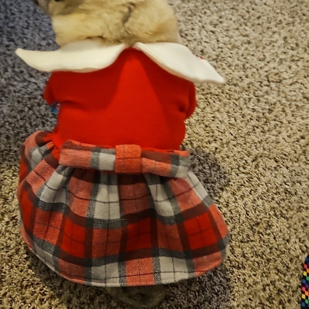 Red and Plaid Dogs Dress